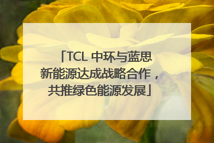 TCL 中环与蓝思新能源达成战略合作，共推绿色能源发展